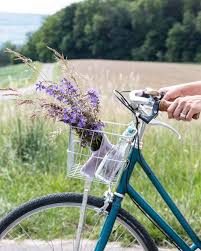 Velowelttag In 2020 Bicycle Moped Blog