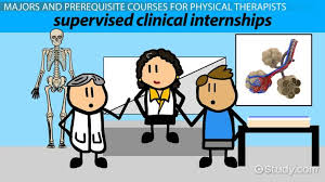 From the young little league player to the young at heart. What Do Physical Therapists Major In Undergrad Degrees Courses