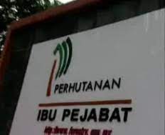Selamat datang ke jabatan perhutanan negeri johor. Utama
