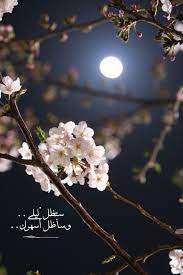 حب حبيبي احبك عشق تصميم ليل قمر سهر قصيد قصائد بالعربي سنابات خاطرة خواطر moonlight photography night sky photography beautiful moon