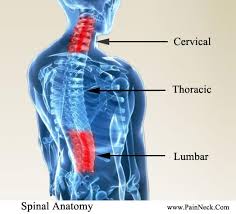 Drafts, an awkward sleeping position and stress may also be the cause of make sure that your lower back and neck stay straight. Got Neck Or Back Pain Try Physio Saanich Physiotherapy Sports Clinic