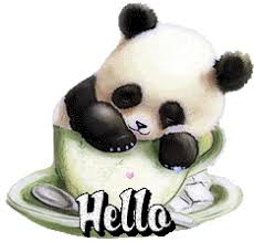 Résultat de recherche d'images pour "gifs coucou hello"