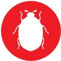 Wondercide's natural indoor pest control spray kills, repels and prevents roaches as well as other common household bugs. Pestxpert Diy Pest Control Products