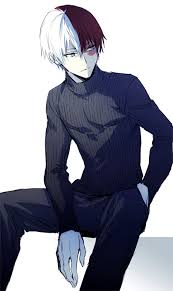Character Todoroki Shouto Hero My Hero Academia Shouto My Hero