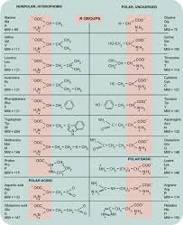 Amino Acids Health Tips Chemistry Education Biochemistry Teaching Chemistry