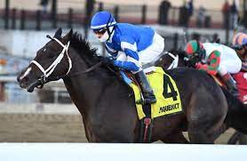 We did not find results for: Updated Free Past Performances For 2018 Triple Crown Nominees