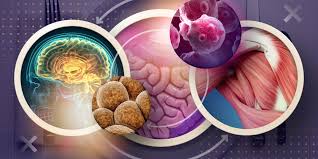 Image result for Cachexia in Cancer