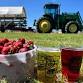 Berries, Blooms & BBQ