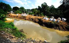 Kurangi fokus pada pertumbuhan ekonomi. 46 Lokasi Di Pasir Gudang Berpotensi Jadi Sumber Pencemaran Kata Menteri