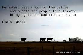 A51a13d15a195fd87fa9d98ffcff761b Jpg 720 479 Pixels Farm Life Quotes Farmer Quotes Agriculture Quotes
