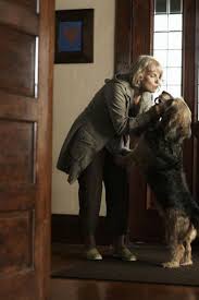 I have a dog. i'd love to help you paint your kitchen, but my dog isn't feeling well. i can't go to aunt myrtle's party because i can't leave my dog home alone for the. Signs Your Parents Love Your Dog More Than They Love You