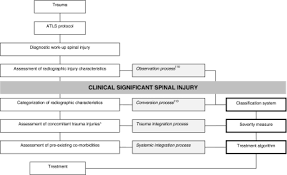 Flowchart Including Three Instruments In Spinal Injury