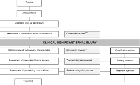 flowchart including three instruments in spinal injury