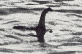 La l?gende du monstre du loch ness. Le Monstre Du Loch Ness Qu Un Poisson Geant La Presse