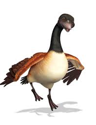 Http Franklin Treehousetv Com Characters Franklin And Friends Animals Character