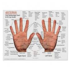 Mini Foot And Hand Reflexology Chart Oil Use Guide