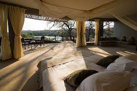 How to decorate a room in a tropical rain forest theme. Decorating With A Safari Theme 16 Wild Ideas