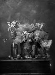 Among traditional canvas artists, these types of works were considered impossible and were never done. Ethereal Image Of Cosmos Flowers Wins Photo Competition Bbc News
