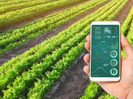 Banyak sekali contohnya di indonesia perusahaan yang merambah jenis perdagangan. 20 Peluang Usaha Pertanian Menguntungkan Di Zaman Modern