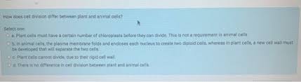How does plant cell division differ from animal. How Does Cell Division Differ Between Plant And Chegg Com