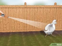 Check spelling or type a new query. 4 Easy Ways To Keep Birds Away Wikihow