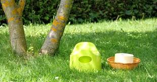 Warten sie mit dem weglassen der windel, bis ihr kind von sich aus keine windel mehr möchte. Windelfrei Werden 7 Tipps Die Ich Von Einer Montessori Padagogin Bekam Eltern Vom Mars