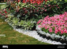 Garden With Well Laid Out Flowering And Other Decorative Plants Stock Photo Alamy