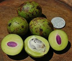 Pin On Exotic Fruits