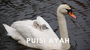 Kata kata komitmen, prinsip, pendirian. 6 Contoh Puisi Ayah Puisi Mengharukan Untuk Ayah Goodminds Id