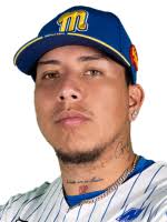 Portal Web Oficial de los Navegantes del Magallanes