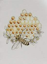 Following My Farts Desire Samanthaestherartwork Honeycomb Is Sweet For Bee Art Honeycomb Tattoo Watercolor And Ink