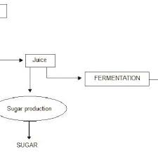 Flow Chart For Bioethanol Energy And Sugar Production From