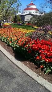 Cincinnati Zoo Tulip Festival Cincinnati Ohio Gardens Of The World Cincinnati Cincinnati Zoo