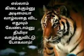 Vivek comedy collection விவேக் நகைச்சுவை தொகுப்புtamil cinema. à®µ à®µ à®• à®œ à®¯à®° à®®à®© Publications Facebook