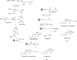 Effective anti air attacks are great for dramatic reversals of fortune in a story, with a flying enemy brought figuratively and literally low. Immobilization Of Candida Rugosa Lipase Onto Magnetic Beads For Kinetic Resolution Of R S Ibuprofen Sciencedirect