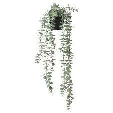 fejka kunstplant binnen buiten hangend eucalyptus ikea in 2020 hangplanten buiten kunstplanten muur plant