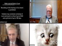 The cat lawyer's past comes back to haunt him, does the. Zoom Video App I M Not A Cat Zoom Cat Tastrophe Brings Texas Attorney Internet Fame The Economic Times Video Et Now