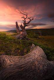 Sacred By Patrick Marson Ong On 500px Landscape Photography Landscape Beautiful Nature