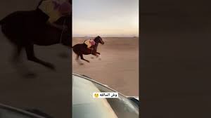 جديد محل ماما للملابس غريان ملابس العيد.التجارية المختلفة، ديكورات محلات ملابس وديكورات محلات احذية وديكورات احدث محلات جديدة وجميلة للمقبلين علي تشطيب المحلات الجديدة بأرقي كل جديد في عالم ديكور المحلات وتشطيبات. ØµØ§Ø­Ø¨ Ø³Ù†Ùˆ ÙˆØ§ÙŠØª Ù„ÙŠØ³ Ø§Ø¬Ù…Ù„ Ù…Ù„Ø§Ø¨Ø³ Ø®ÙŠØ§Ù„Ø© Rentastaffblog Com
