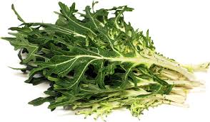 Klub założony 15 lipca 1945 roku. White Peacock Kale Information And Facts
