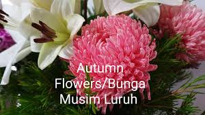 We did not find results for: Little Colour To My Garden With Autumn Flowers Plants Shopping Bunga Bunga Musim Luruh Youtube