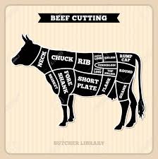 Beef Cow Cuts Butcher Vector Diagram Placard With Section Cow