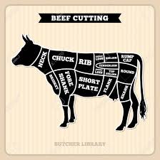 beef cow cuts butcher vector diagram placard with section cow