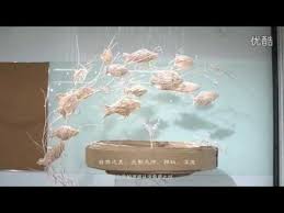 Cohim Window Display Design Window Display Design Display Design Window Display