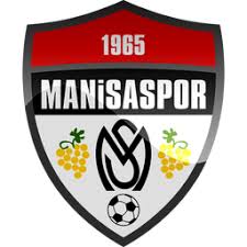 Vintage web icon set 256×256 png files. Fenerbahce Sk Icon Turkish Football Club Iconset Sinerji Media