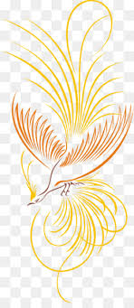 Burung jantan berwarna hitam dan kuning tua. Birdofparadise Unduh Gratis Burung Cenderawasih Clip Art Burung Gambar Png
