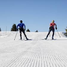 Cross Country Skiing How To Choose Skate Skis