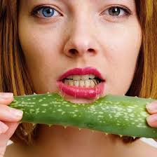 Sajida Bano (sajidabano333)