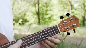 We did not find results for: 1 497 Ukulele Stock Videos Royalty Free Ukulele Footage Depositphotos