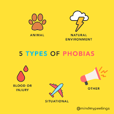 Image result for Specific Phobia